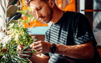 Smart Gardening: Tips for Protecting Your Body While Working in the Garden